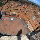 siena