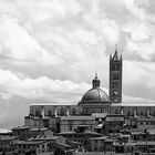 siena