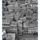 Siena