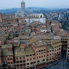 Siena