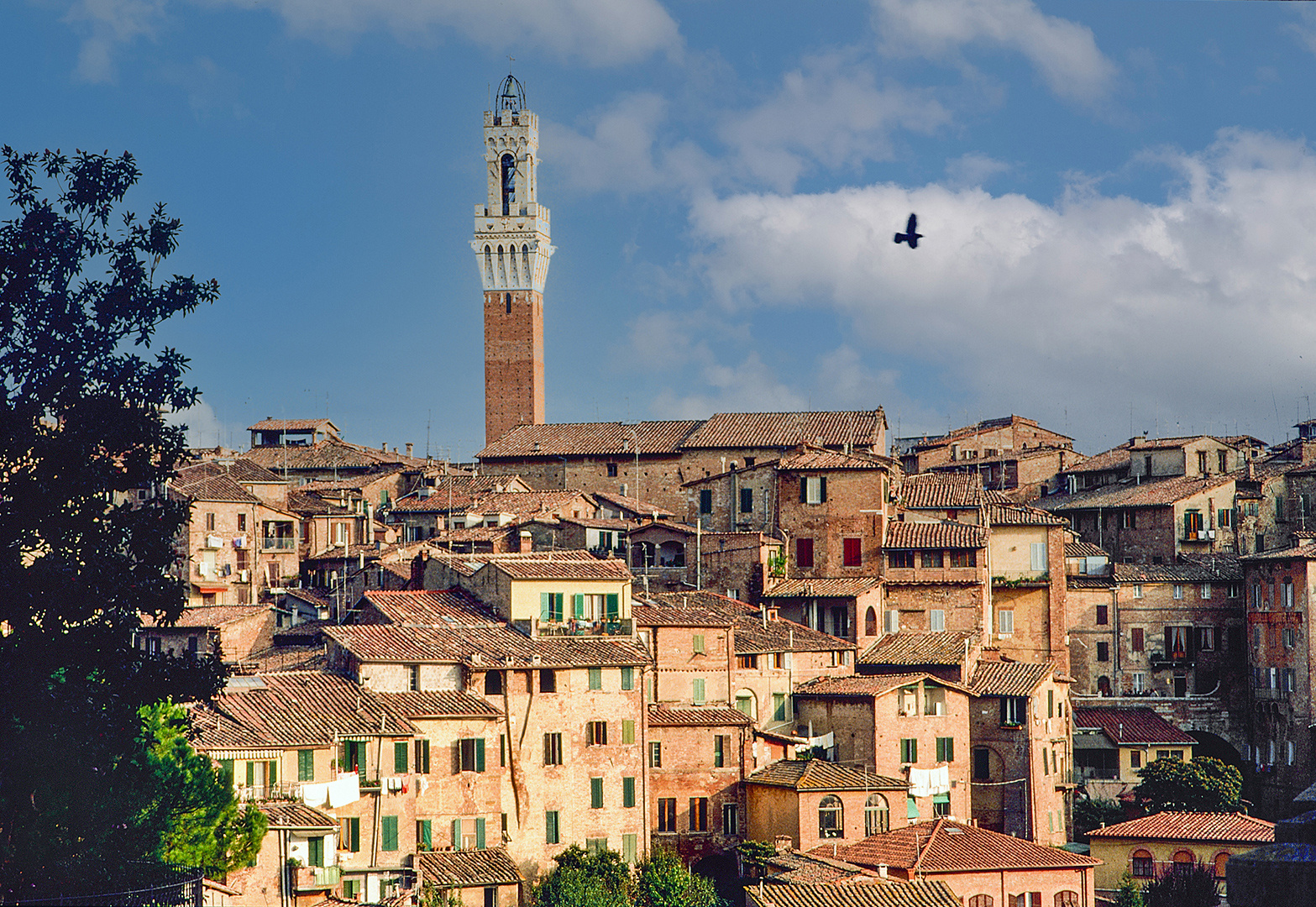 Siena