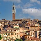 Siena