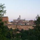 Siena