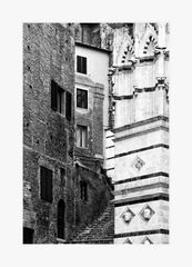 Siena