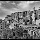 Siena, auf dem Patz des Palio II