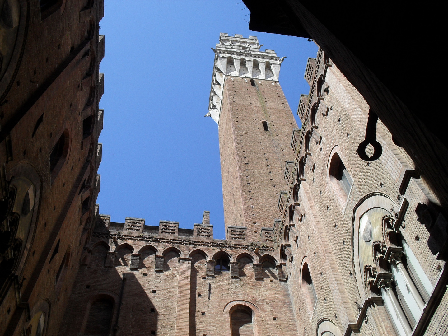 Siena August 2011