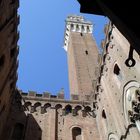 Siena August 2011