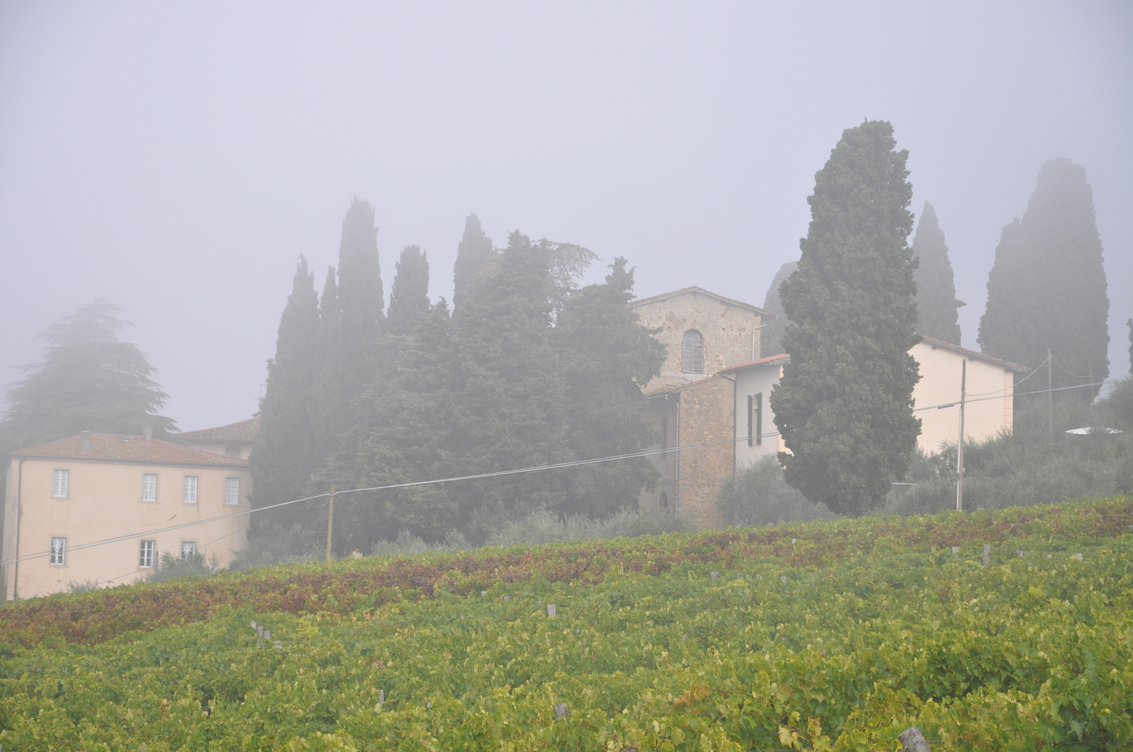 SIENA AVVOLTA DALLA NEBBIA