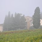 SIENA AVVOLTA DALLA NEBBIA