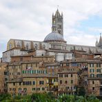 Siena