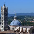 Siena