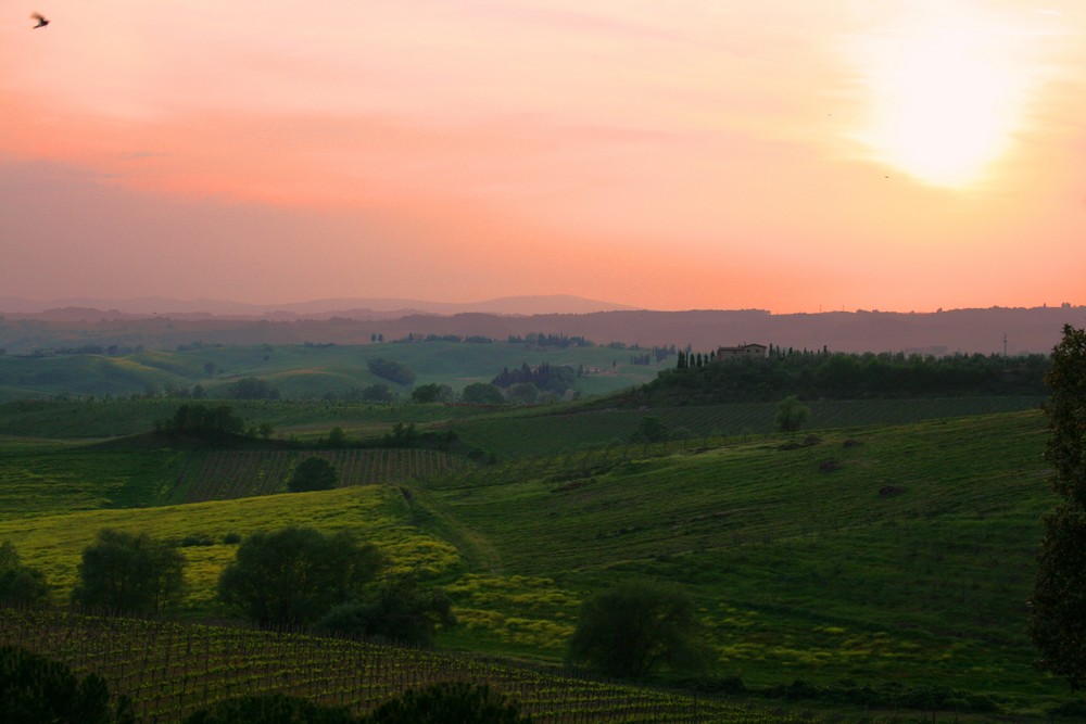 Siena