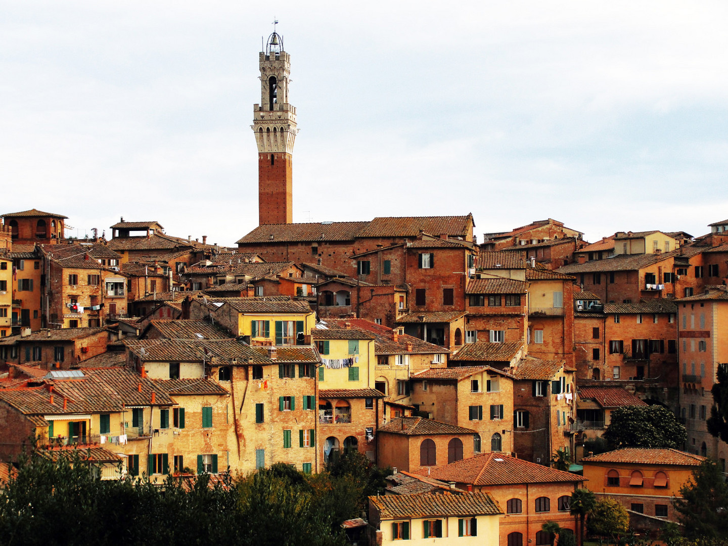 SIENA