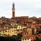 SIENA