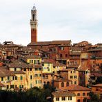 SIENA