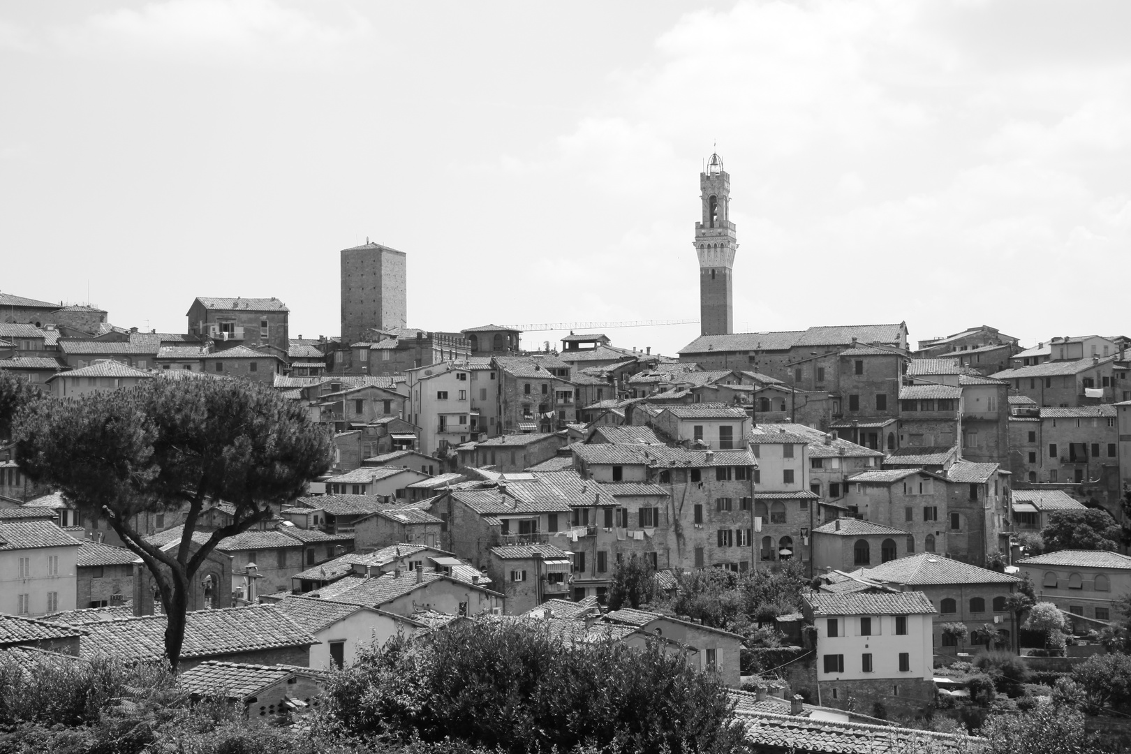 Siena-Blick über das schöne Siena / Toskana