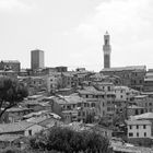 Siena-Blick über das schöne Siena / Toskana