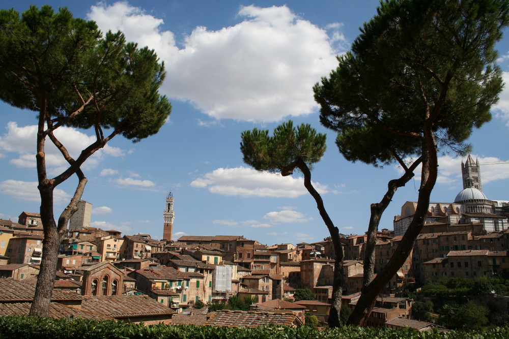 Siena, Blick zur Altstadt