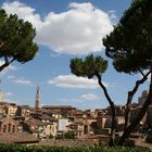 Siena, Blick zur Altstadt