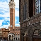 Siena Campo