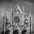 Siena cathedral