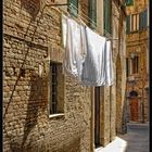 Siena  centro storico