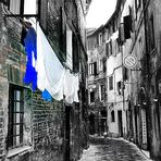 Siena: centro storico