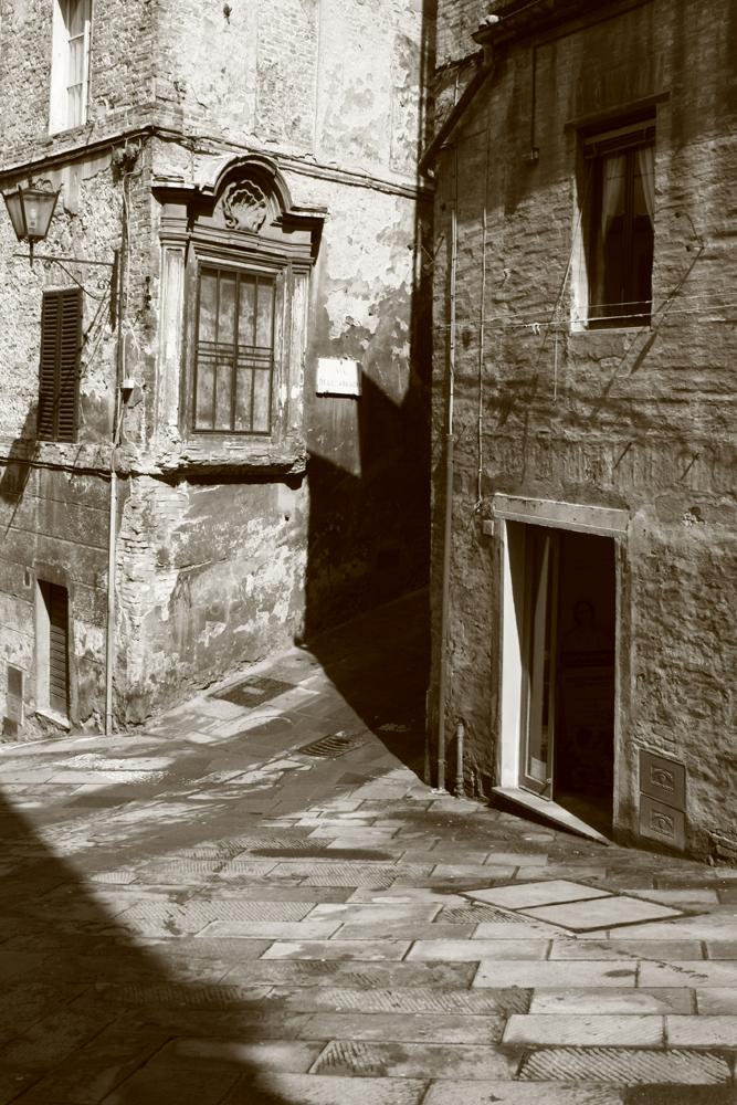 Siena, Chiaroscuro #3