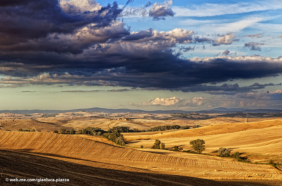 Siena, countryside in summer late afternoon