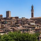 Siena