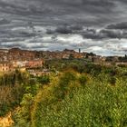 Siena