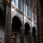 Siena Dom