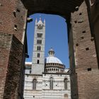 Siena Dom