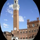 Siena