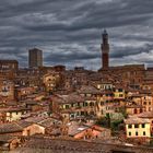 Siena