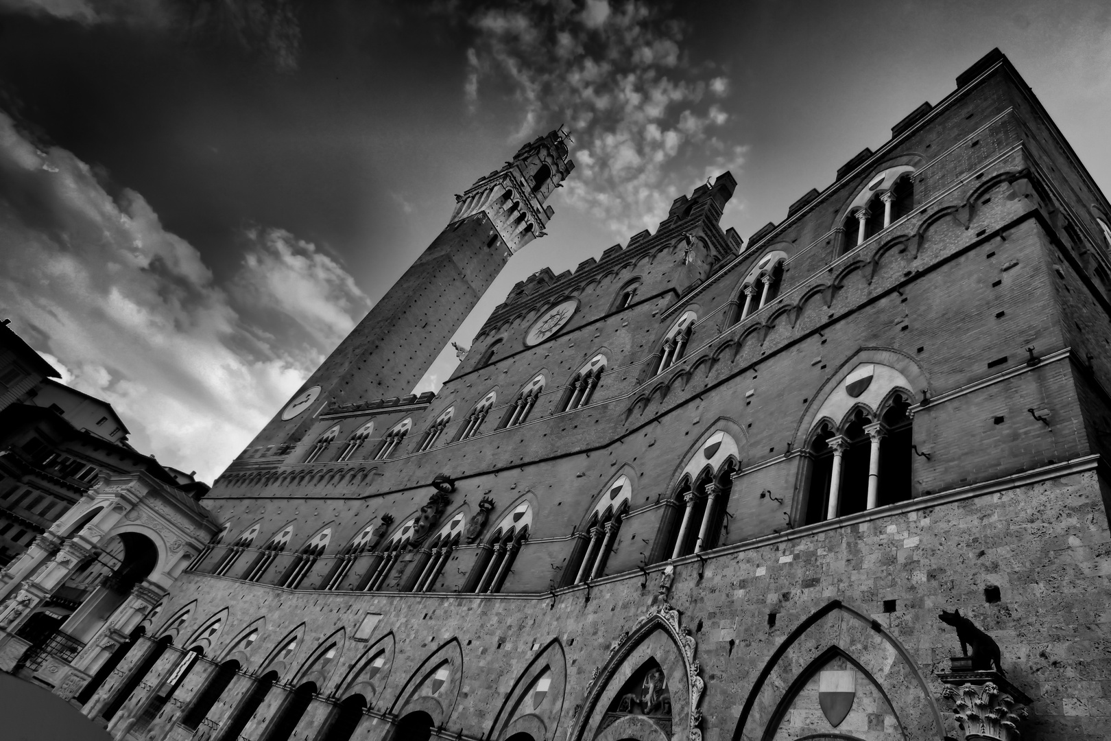 Siena.........................................