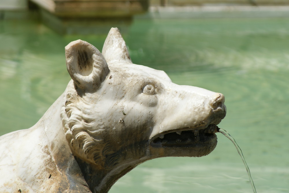 Siena, Fonte Gaia (Brunnen der Freude)