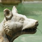 Siena, Fonte Gaia (Brunnen der Freude)