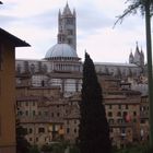Siena from a distance