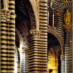 siena, il duomo