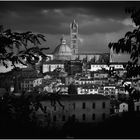 Siena in b&w