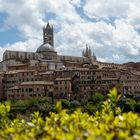 Siena - Kathedrale von ferne