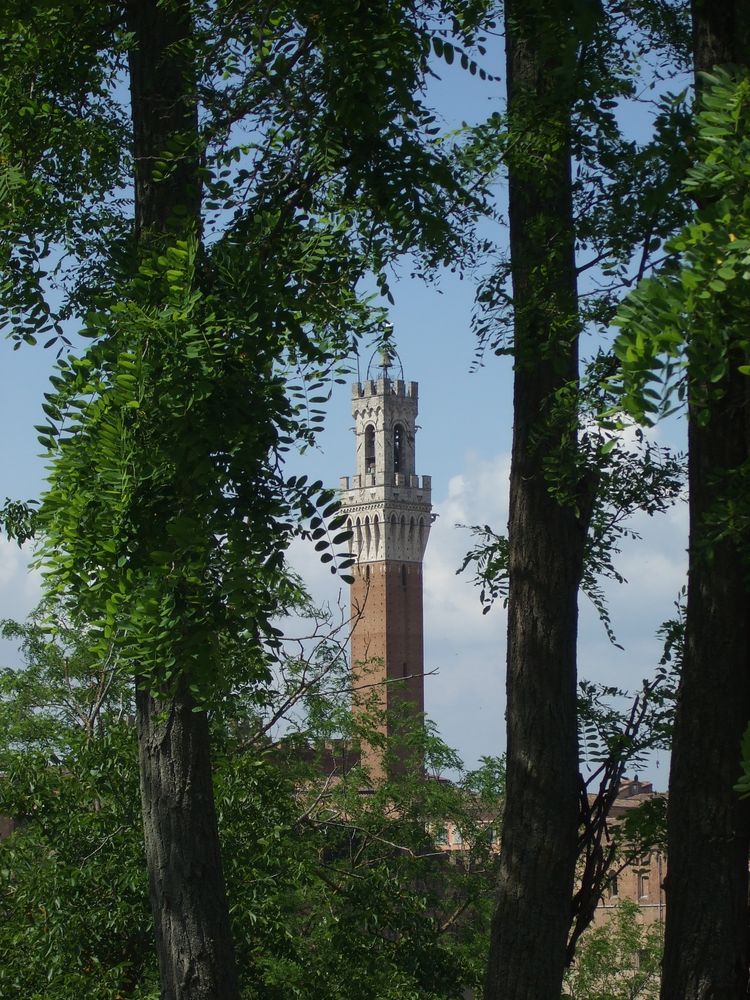 Siena - Mai 2009