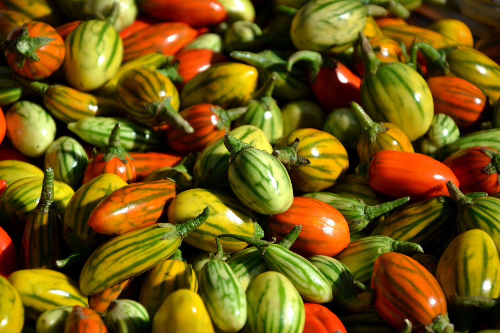 Siena Market