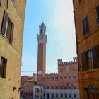 Siena Marktplatz