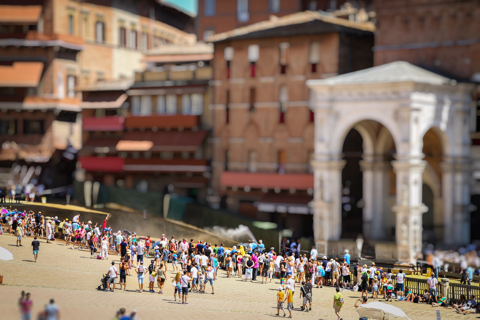 Siena - Miniature...