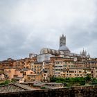 Siena Panorama