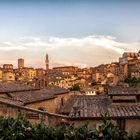 Siena Panorama!