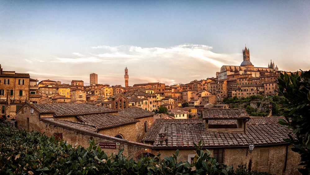 Siena Panorama!