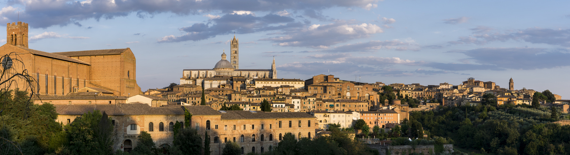 Siena Panorama mit Cattedrale di Santa Maria Assunta 